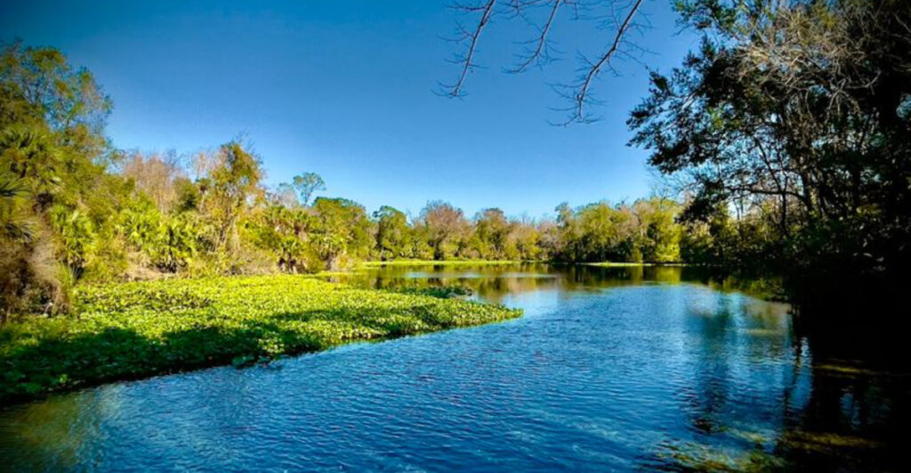 This Crystal-Clear Spring Near Apopka Is One of Florida’s Most Refreshing Escapes