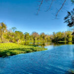 This Crystal-Clear Spring Near Apopka Is One of Florida’s Most Refreshing Escapes