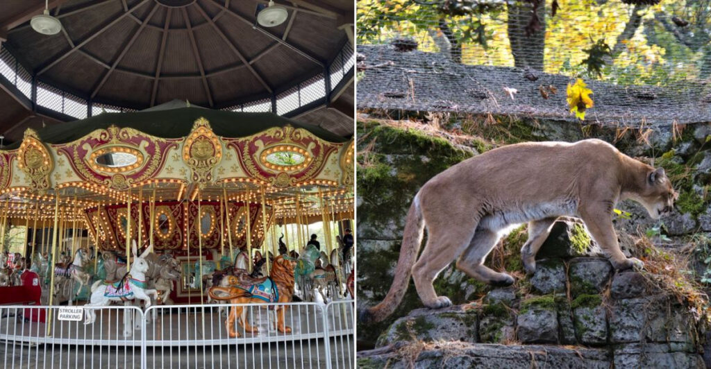 This Cute Little Zoo Might Be the Best Low-Cost Weekend Plan in North Jersey