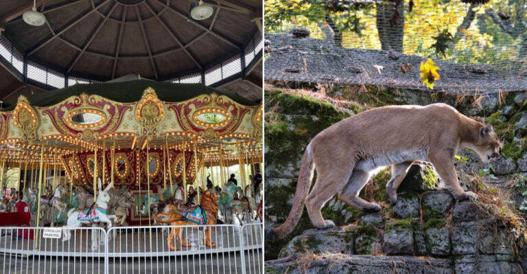 This Cute Little Zoo Might Be the Best Low-Cost Weekend Plan in North Jersey