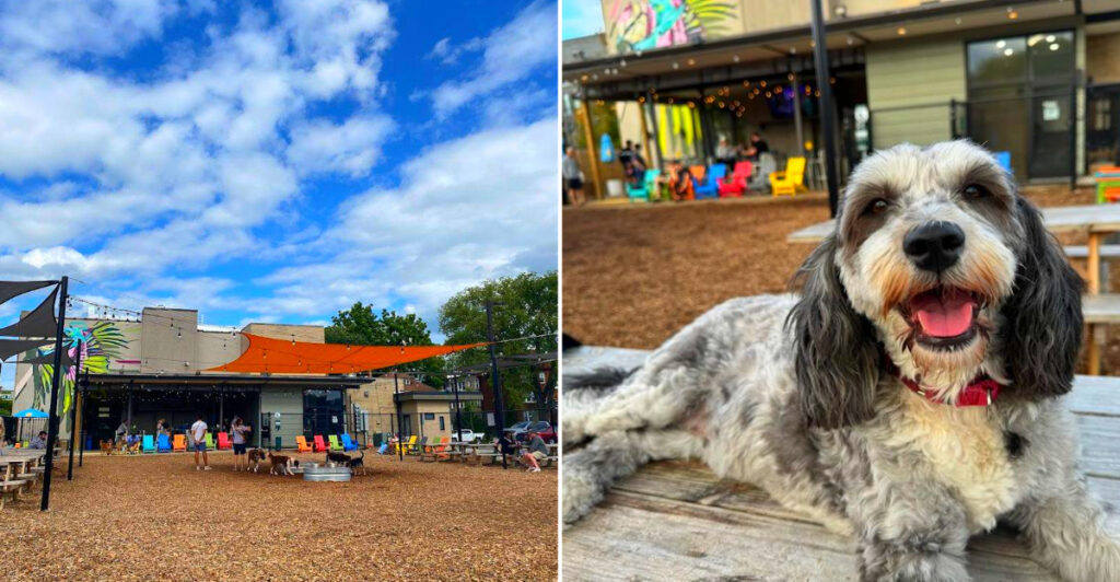 This Detroit Hangout Combines a Bar, Café, and 10,000-Sq-Ft Dog Park Into One Addictive Experience