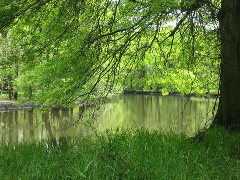 Where Exactly This Wild Place Sits