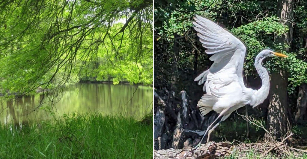 This Fairfield Nature Spot Is One Of New Jersey’s Most Overlooked Wild Places