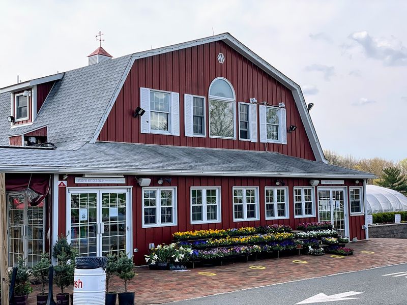 Where the Farm Actually Is and What to Expect at the Gate