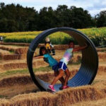 This Family-Friendly Florida Farm Is Packed With Seasonal Fun and Fresh Treats