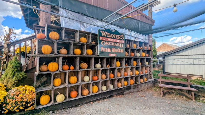 Where the Orchard Calls Home