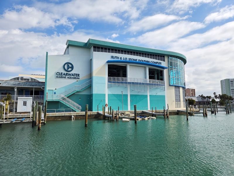 Where the Aquarium Calls Home