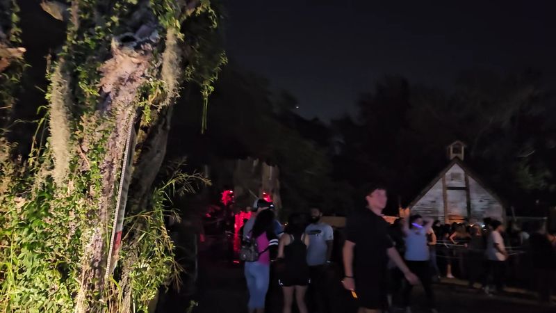 Where the Forest Comes to Life