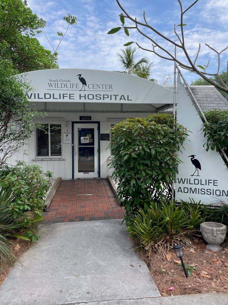 Where It All Happens: The Center's Location and Setup