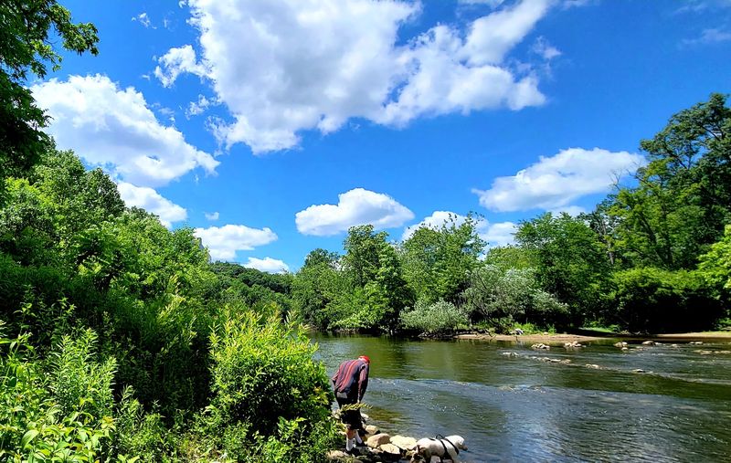 Where Exactly You Will Find The Arb