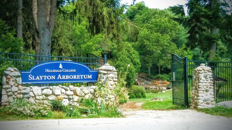 Where Exactly You Will Find This Arboretum