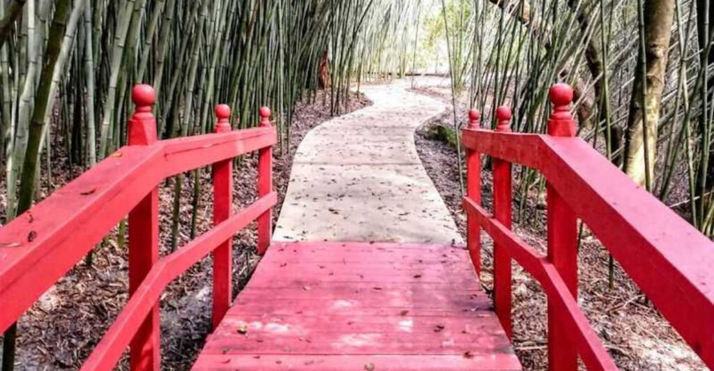 This Gainesville Garden Oasis Is Packed with Rare Plants, Bamboo Forests, and Peaceful Paths You’ll Want to Wander