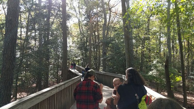 Where the Boardwalk Begins