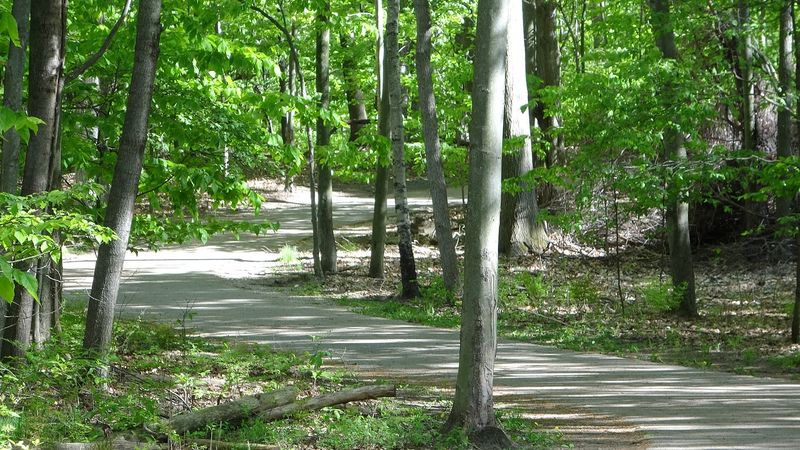 Where Exactly You Will Find This Forested Escape