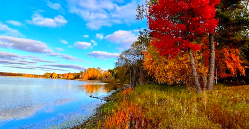 This Hidden Ludington Trail Has Birch Forest Paths, Outdoor Art, and a Lake Just Minutes Away