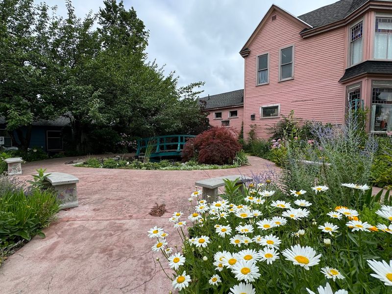 A Vacant Lot Turned Living Canvas