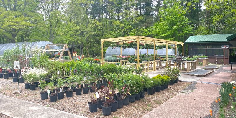 Where You Will Actually Find It