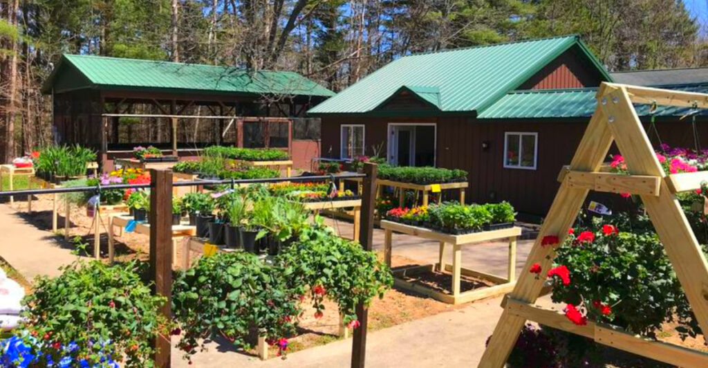 This Hidden Michigan Nursery Feels Like a Private Garden Escape – And Locals Swear By It