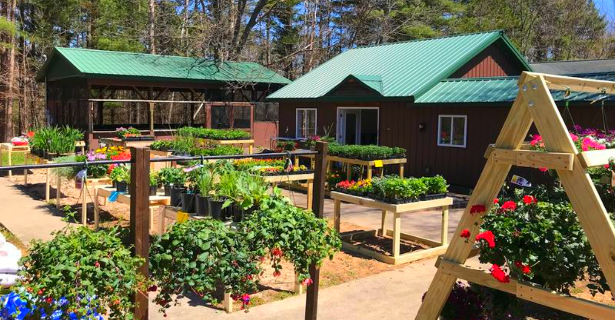 This Hidden Michigan Nursery Feels Like a Private Garden Escape – And Locals Swear By It