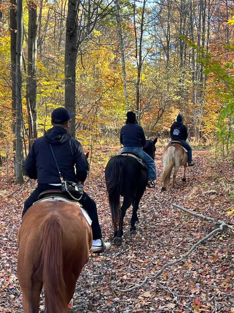 Where the Ranch Actually Is and What You Will Find There