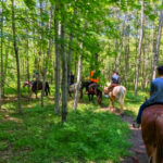 This Hidden Michigan Ranch Feels Like a Private Escape With Forest Trails and Friendly Horses