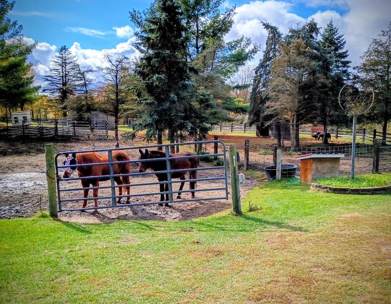 A Ranch With a Real Address and an Even Realer Mission