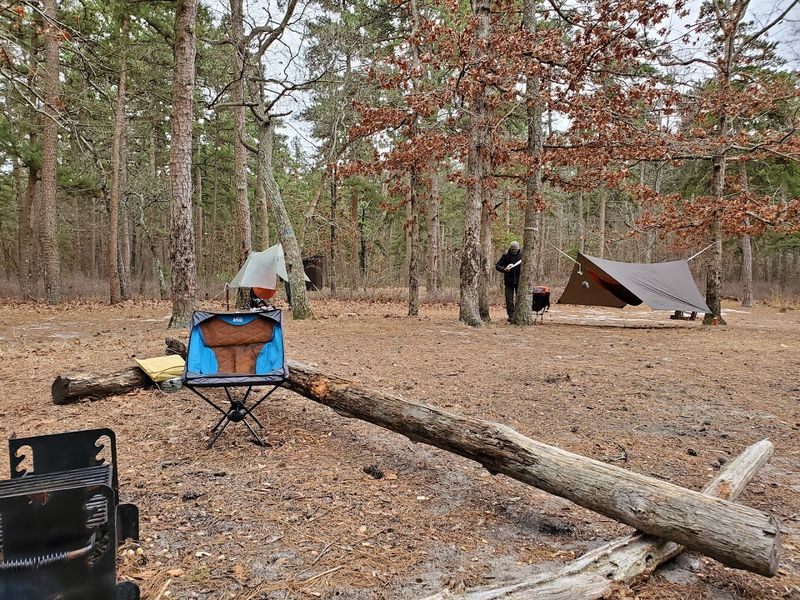 Where Exactly This Place Sits in the Pinelands