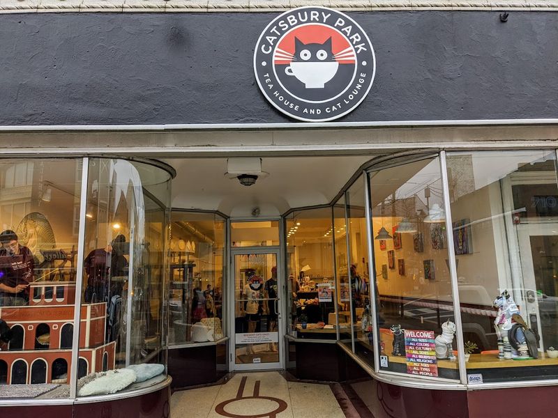 Where Catsbury Park Actually Lives