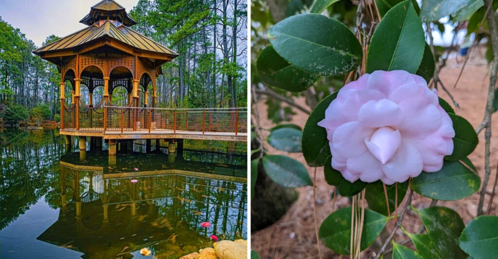 This Hidden Oasis in South Carolina Is One of the State’s Best-Kept Secrets