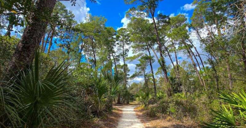 This Hidden Palm Bay Sanctuary Feels Like a Jungle Escape with Boardwalk Trails and Wildlife