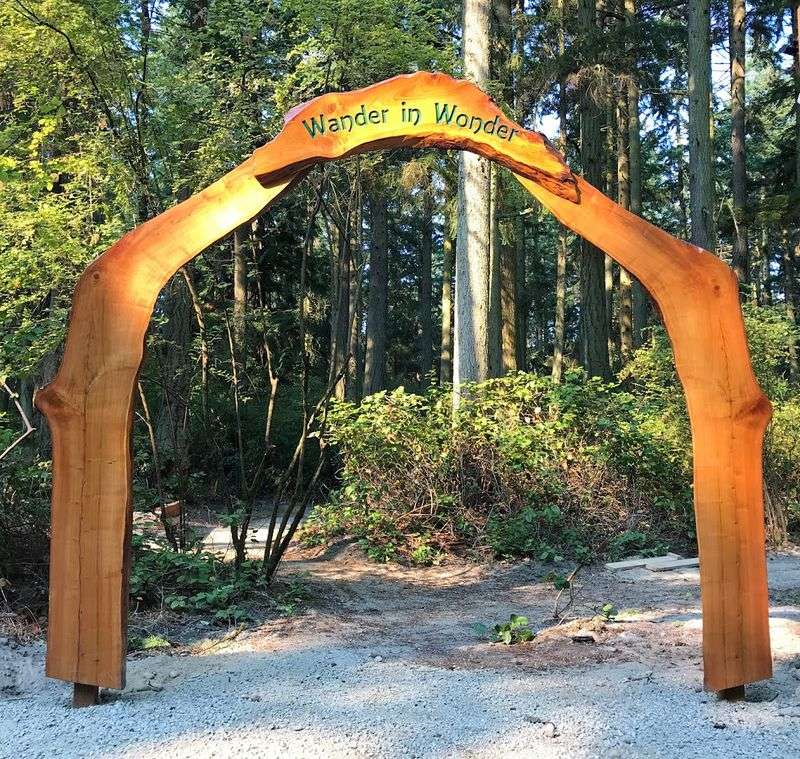 Where the Forest Begins: Address, Location, and First Impressions