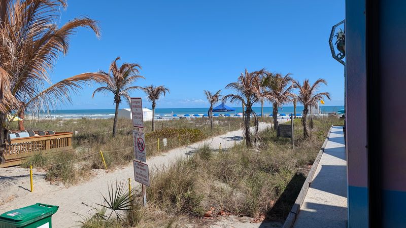 Where You Will Find It: Address and Location