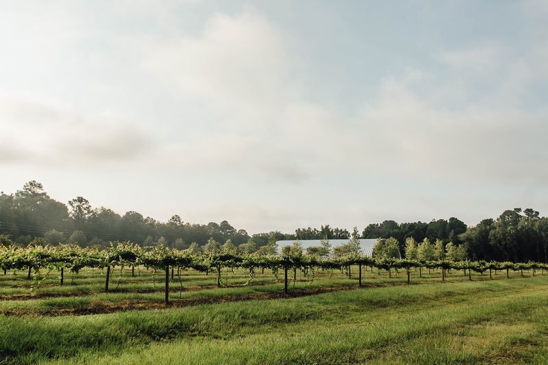 Where to Find This Farm and What to Expect on Arrival