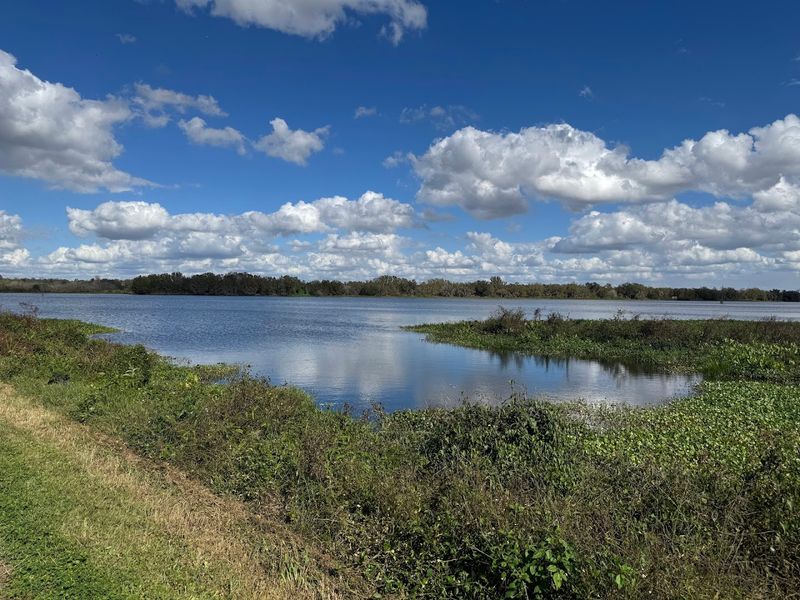 Finding the Reserve: Address, Access, and First Impressions