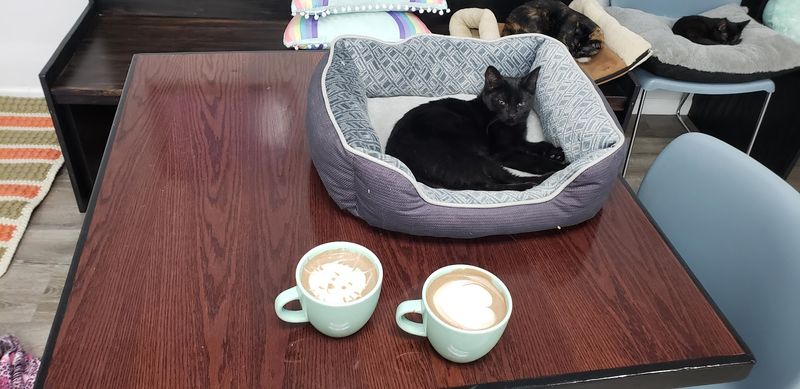 A Nonprofit with a Real Mission Behind Every Latte