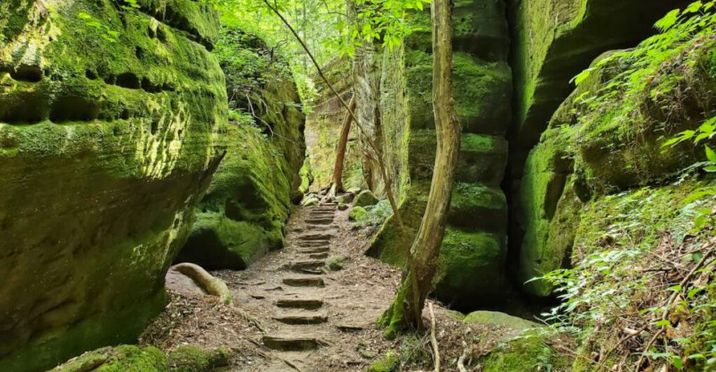 This Little-Known Alabama Destination Feels Like a Secret Tropical Escape