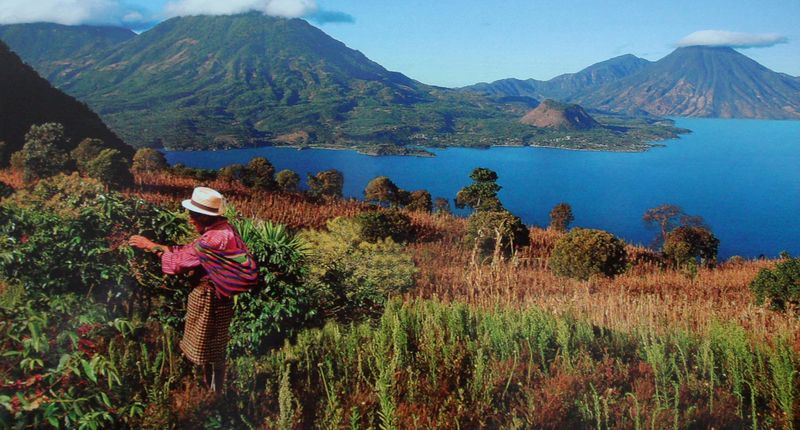 Where in the World Is Tikal, Exactly