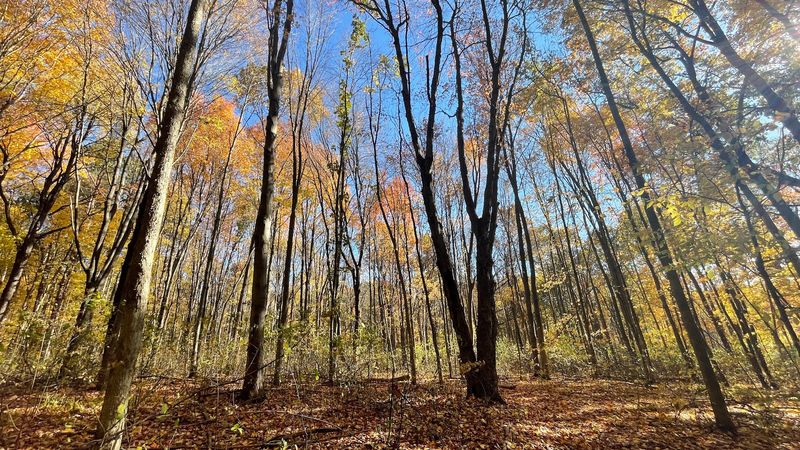 Where Holly Recreation Area Actually Is and Why That Matters