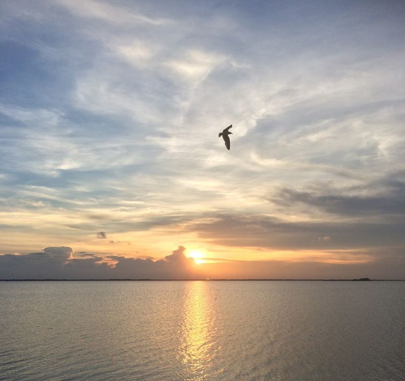 What and Where Is Laguna Madre