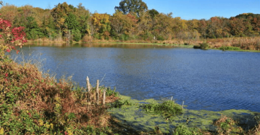 This Massive Wildlife Area in New Jersey Is Full of Quiet Surprises