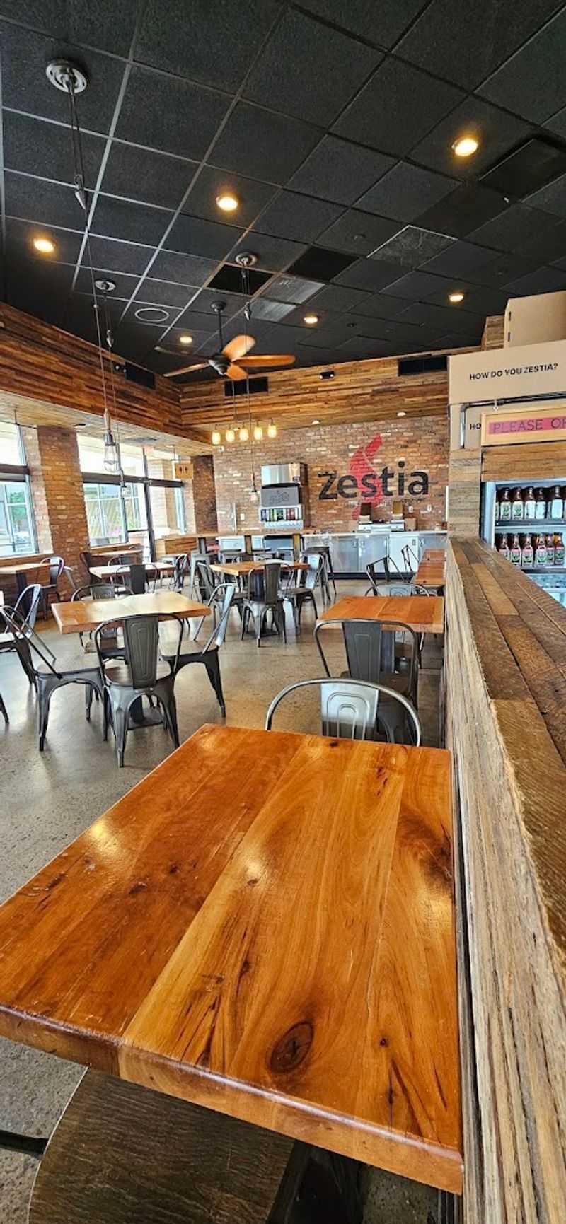 The Story Behind Zestia and How It Started