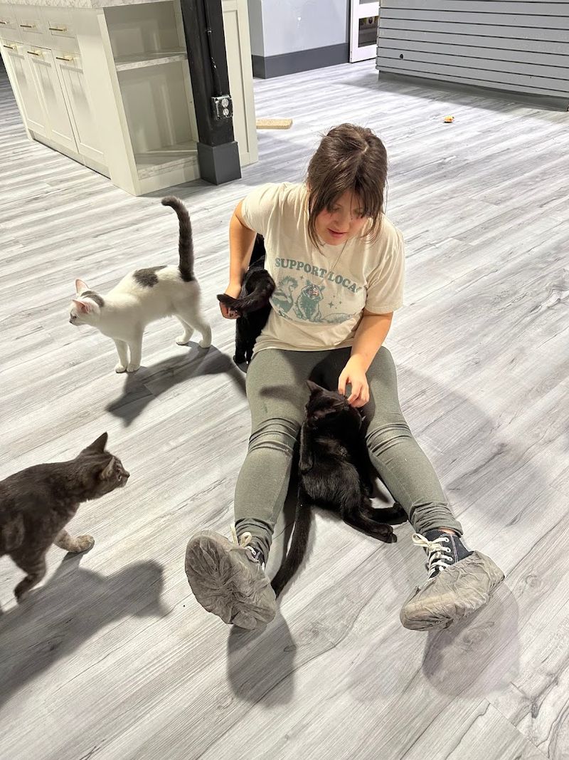 The Address Behind the Purrs