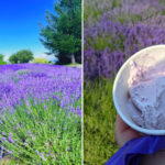 This Michigan Lavender Farm Serves Lavender Ice Cream with Stunning Peninsula Views