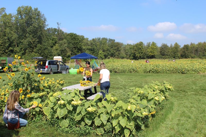 Where the Farm Actually Is and How to Get There