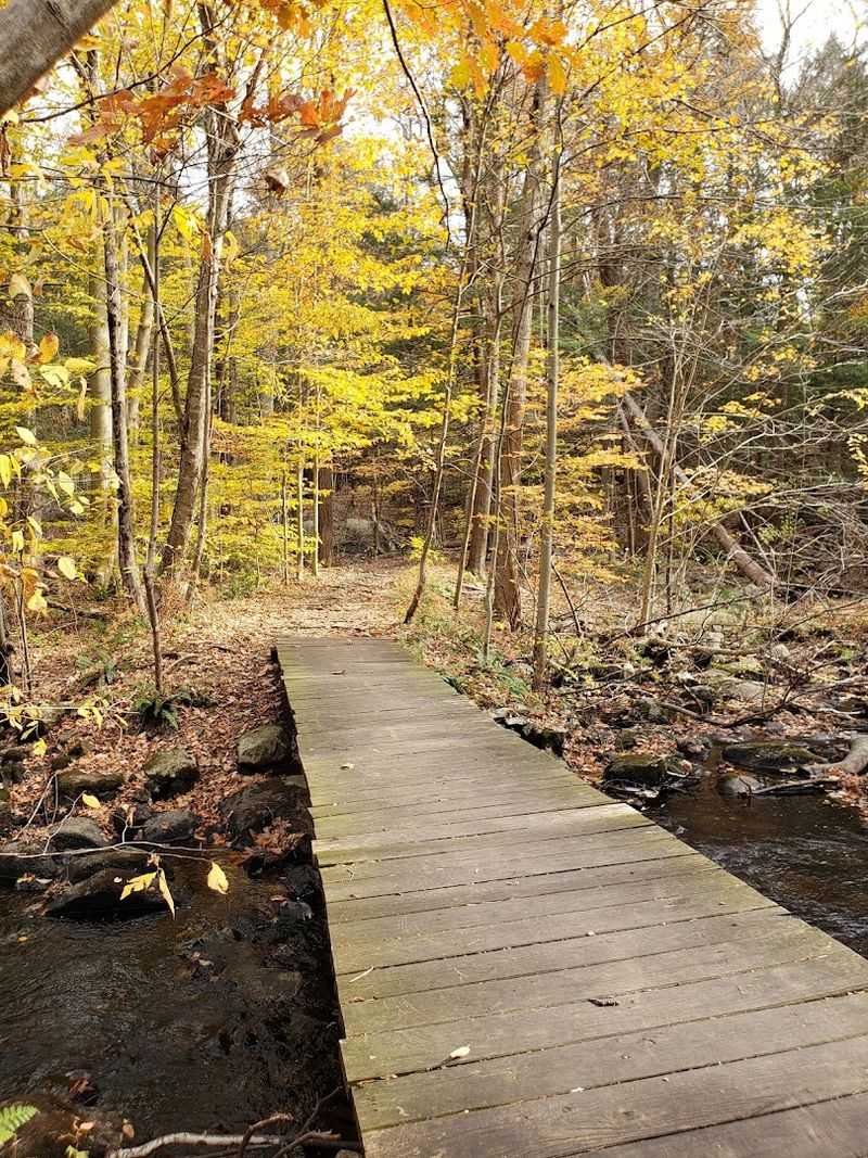 Where the Trails Begin: Location and Access