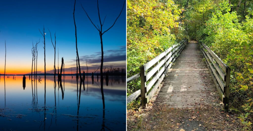 This New Jersey Reservoir Is Part Water Source, Part Wildlife Haven, And Part Local Escape