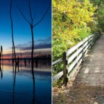 This New Jersey Reservoir Is Part Water Source, Part Wildlife Haven, And Part Local Escape