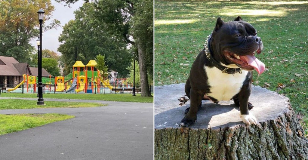 This Newark Park Was Once an Amusement Spot Locals Wanted Gone