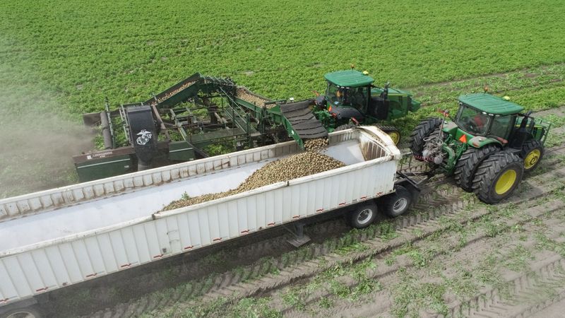Where the Farm Sits and What It Does