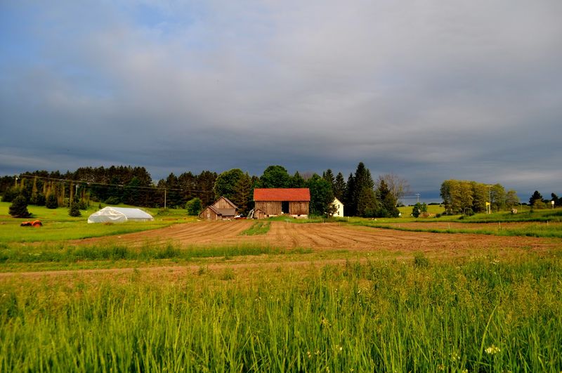 Where the Farm Begins: Address, Location, and First Impressions